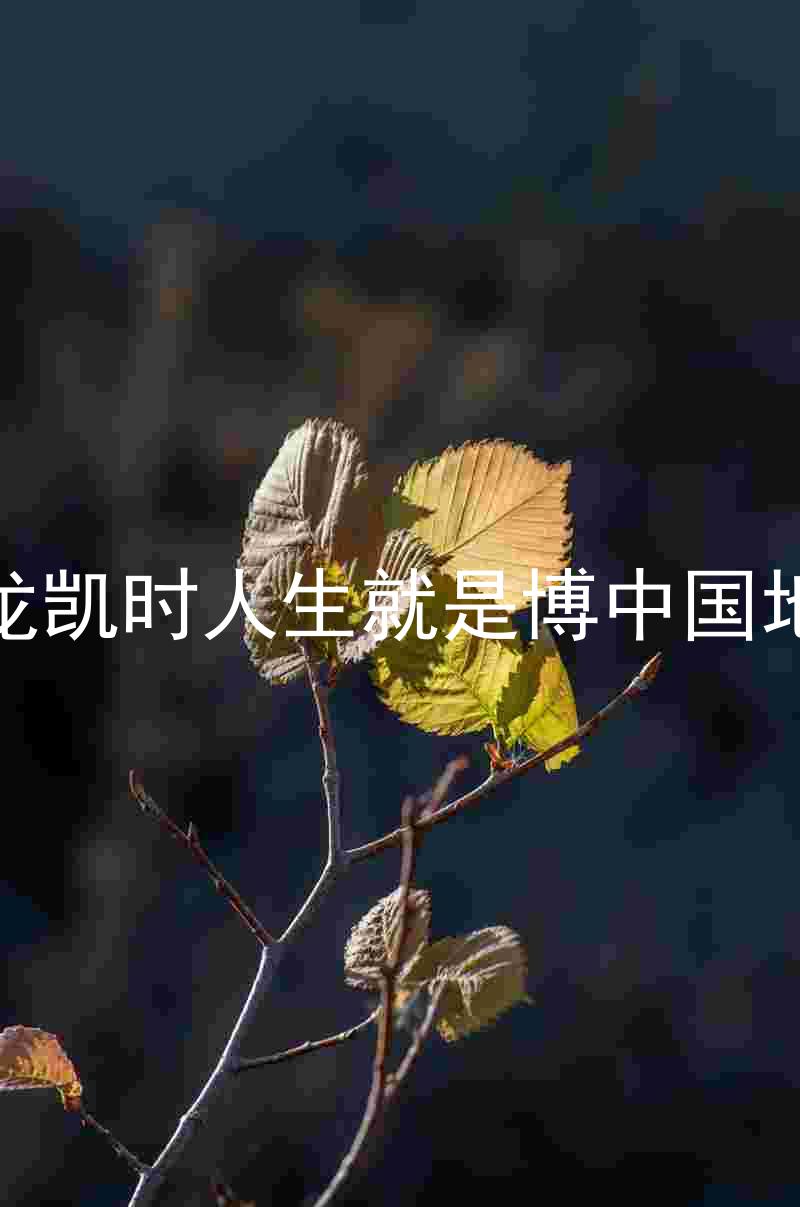尊龙凯时人生就是博中国地区