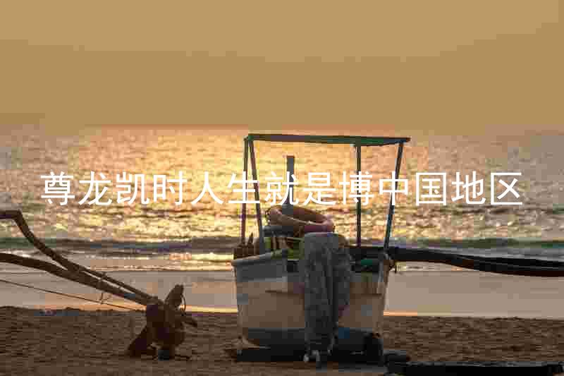 尊龙凯时人生就是博中国地区