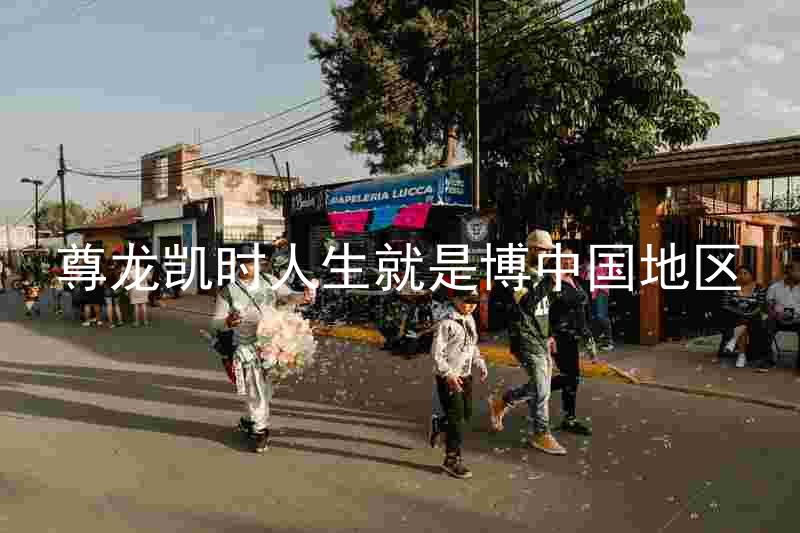 尊龙凯时人生就是博中国地区