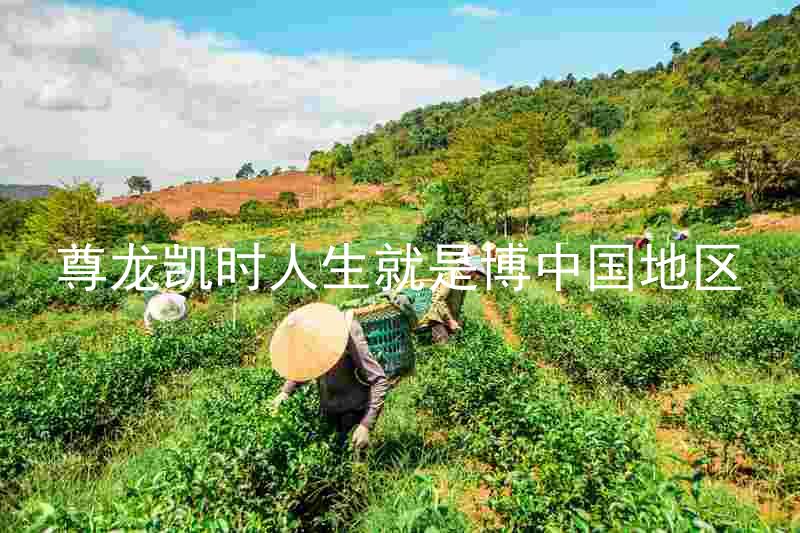 尊龙凯时人生就是博中国地区