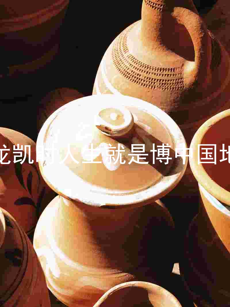 尊龙凯时人生就是博中国地区