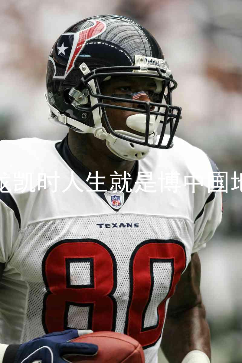 尊龙凯时人生就是博中国地区