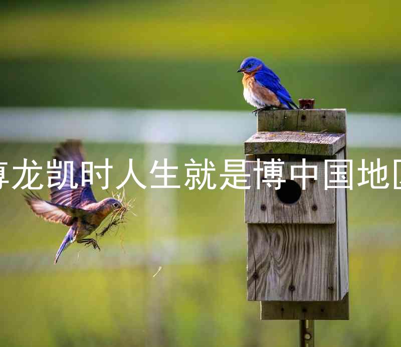 尊龙凯时人生就是博中国地区